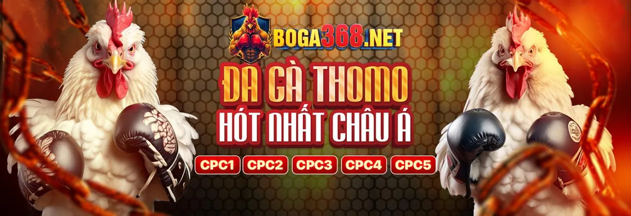 Các tính năng và trò chơi của 6ffvip